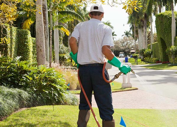 About Elsmore KS Pest Control